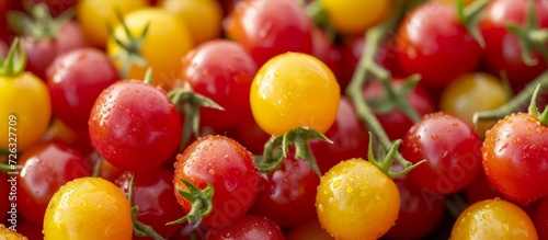 Fresh organic cherry tomatoes in red and yellow, part of a nutritious and wholesome diet.