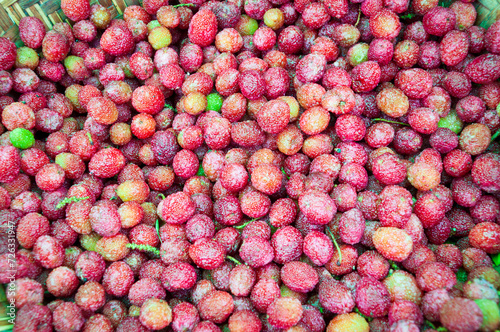 Ripe, juicy red Kafal berries, kept on a small basket for sale in local market, meghalaya, India. Commonly known as box berry or by berry in English. Sour fruit in Shillong photo