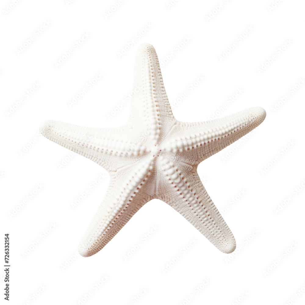 white starfish on transparent background white starfish on transparent background