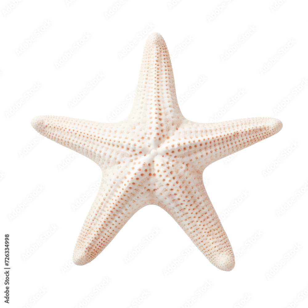 white starfish on transparent background white starfish on transparent background