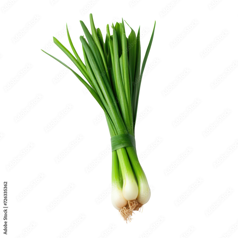 Green spring onion on white background Green spring onion on white background