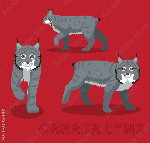 Photography Canada Lynx Cat Cartoon Vector Illustration