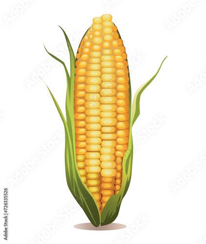 Corn of colorful set. This lively vegetable corn is designed in a fun and playful cartoon style on a white background. Vector illustration.