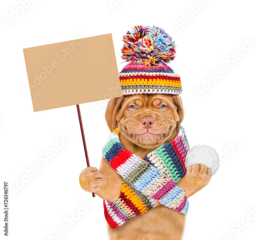 Smiling Mastiff puppy wearing warm winter woolen hat with pompon and knitted scarf holds snowball and shows empty placard. Isolated on white background © Ermolaev Alexandr