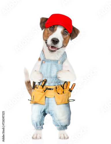 Funny Jack russell terrier puppy wearing red cap and denim overalls with tool belt looks at camera. isolated on white background