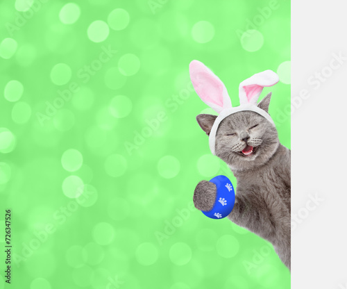 Happy kitten wearing easter rabbits ears holds colorful easter egg and looks from behind empty white banner on green blured background