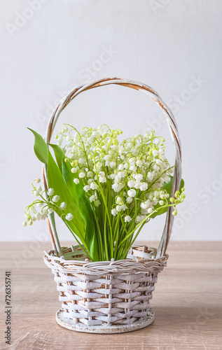 Happy May Day greeting card concept; Bouquet of lilies-of-the valley in a white basket on a wooden table and white background