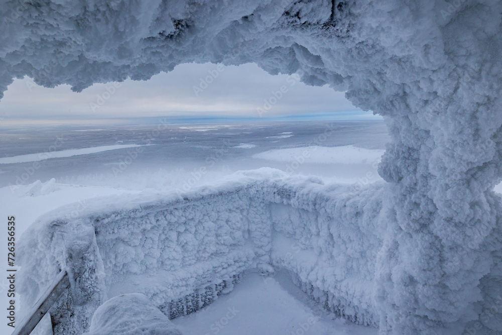 Obraz premium landscape with snow