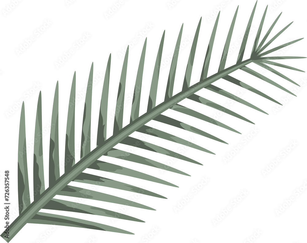 Fototapeta premium Beige, green, white tropical leaves in flat style, on transparent, png. Illustration. Green jungle,foliage. Floral beach