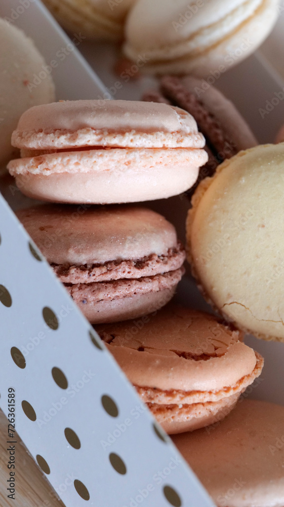 petits macarons petits macarons