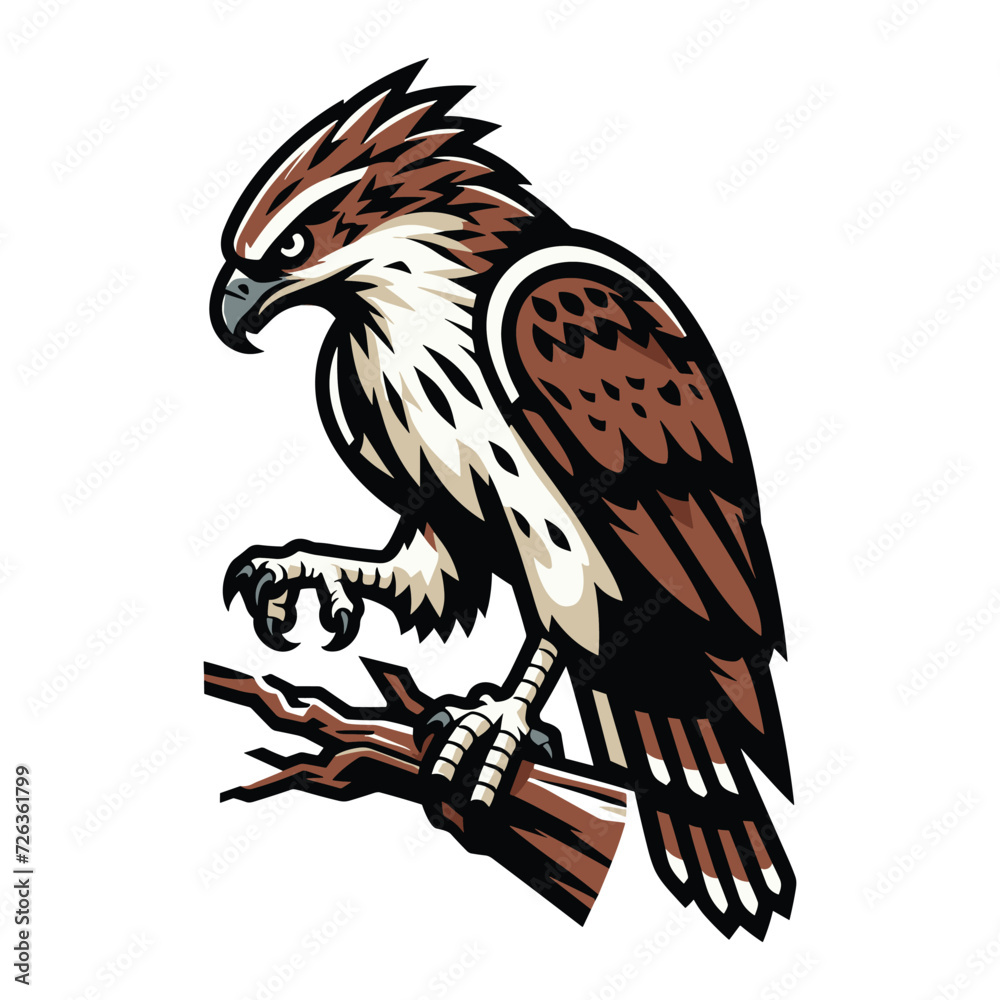 Fototapeta premium Wild animal bird of prey, raptor bird vector design illustration, hawk eagle falcon logo flat design template isolated on white background