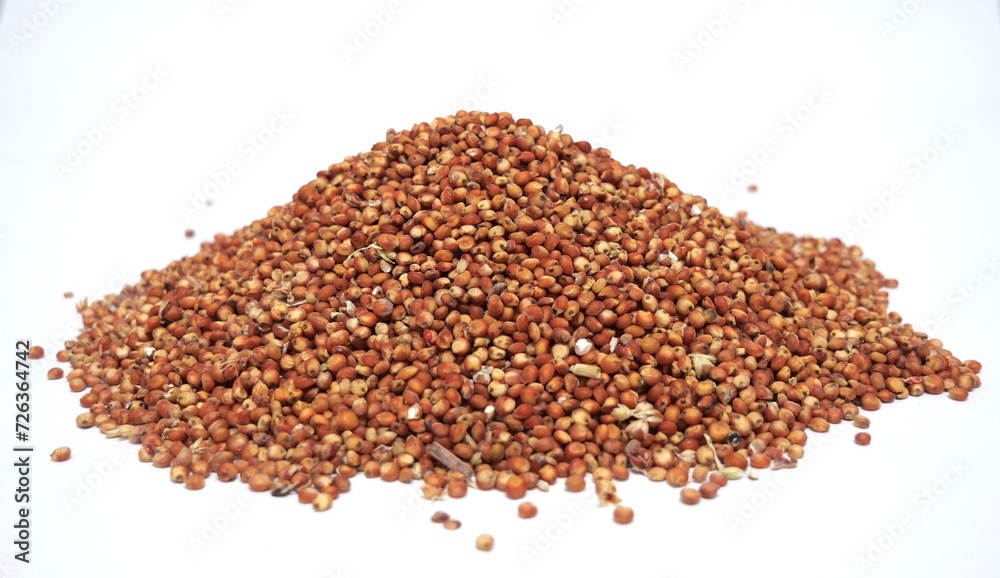 Milo sorghum piles high carbohydrates and mycotoxins source of animal feed Milo sorghum piles high carbohydrates and mycotoxins source of animal feed