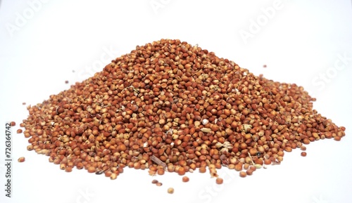 Milo sorghum piles high carbohydrates and mycotoxins source of animal feed