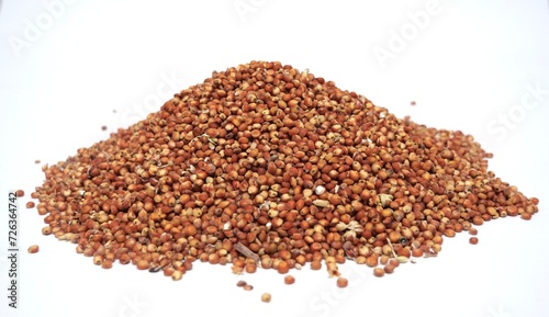 Milo sorghum piles high carbohydrates and mycotoxins source of animal feed photo