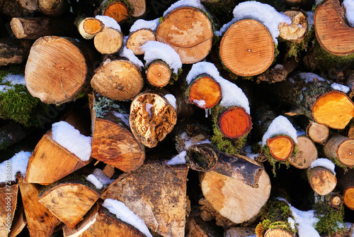 stack of firewood