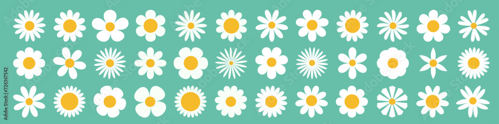 Fototapeta premium Daisy Camomile super big set. White chamomile icon. Growing concept. Cute round flower plant collection. Love card. 36 sign symbol shape. Flat design. Isolated. Green background.