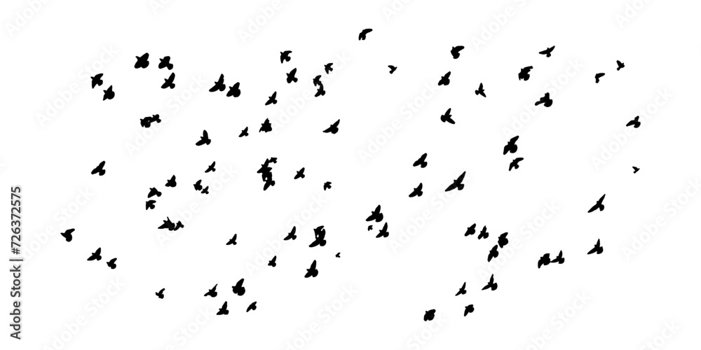 Silhouette of birds. Vector flock of birds in the sky. isolated background. Silhouette of birds. Vector flock of birds in the sky. isolated background.