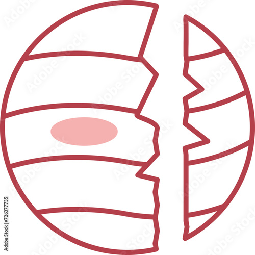 Destroyed Icon