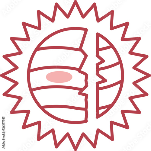 Destroyed Icon