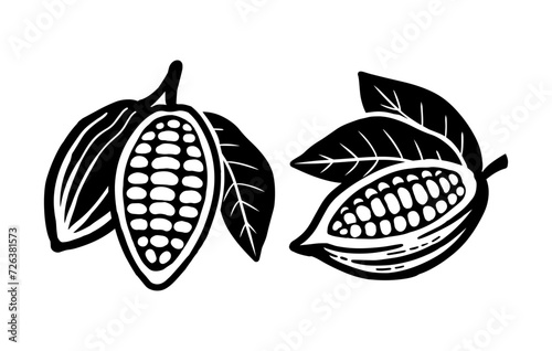 Cocoa beans icon. Isolated on a white background.