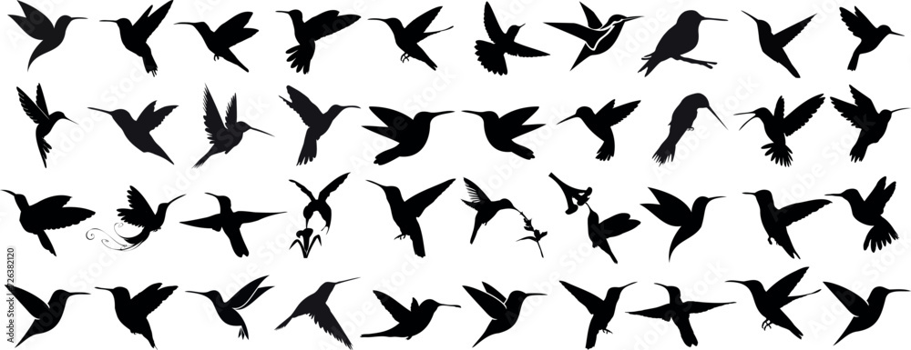 Dynamic hummingbird silhouettes, black on white humming bird, perfect for logo, emblem, creative design. Detailed vector illustration showcasing flight motion, elegance, and grace