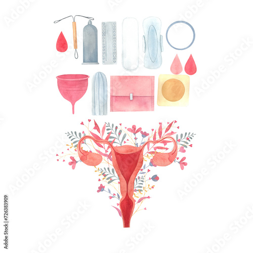 set illustration with a uterus and feminine hygiene products drawn in watercolor by hands. Internal reproductive organs, pads, tampons