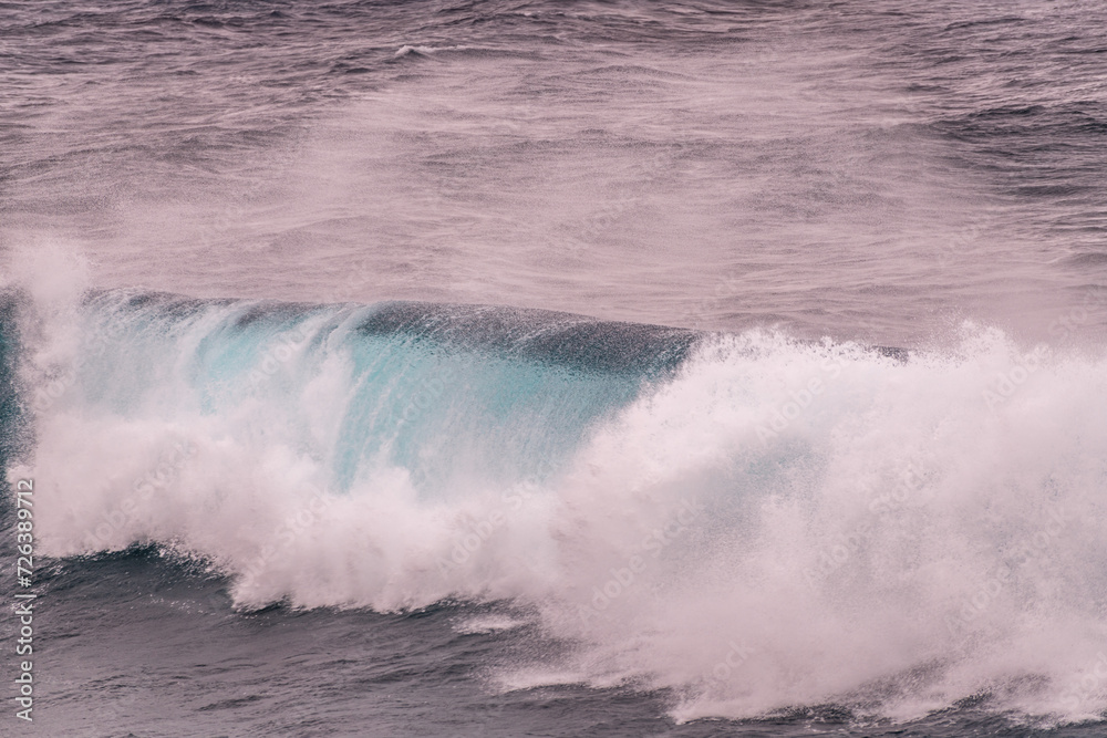 raging waves in the Pacific Ocean