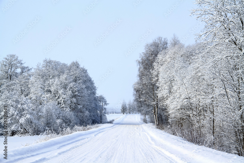 a man standing in the middle of snow covered path near trees a man standing in the middle of snow covered path near trees