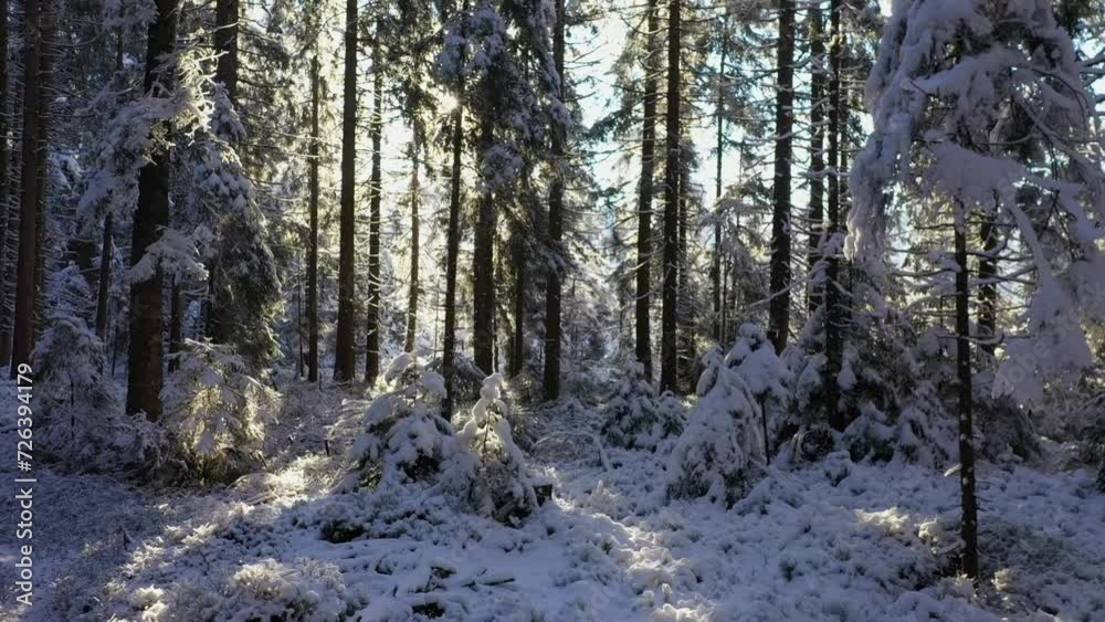 Fantastic snowy winter landscape, magic sunset in the forest
