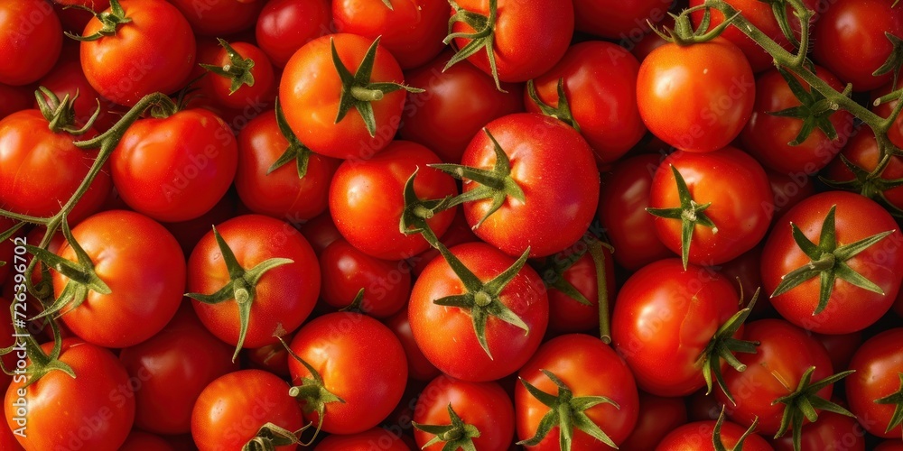 Group of Tomatoes Resting on the Ground Group of Tomatoes Resting on the Ground