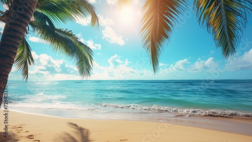  tropical beach and palm tree summer nature background © Didikidiw61447