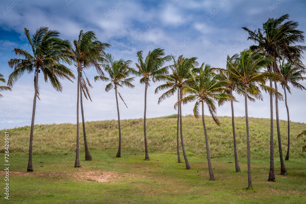 moais on Anakena beach, Rapa Nui, on Easter Island