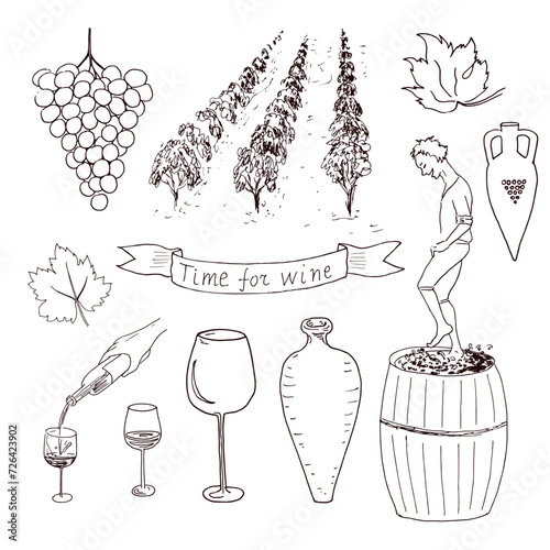 Elements of viticulture and wine. Vector drawing images set.
