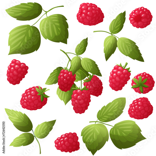 Set of fresh raspberries in cartoon style. Vector illustration of large and small berries with leaves and separately. Raspberry leaves
