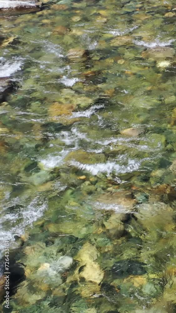 Vertical video of water and stones of Altai river Bashkaus. The camera looks down and moves along the river. Vertical video of water and stones of Altai river Bashkaus. The camera looks down and moves along the river.