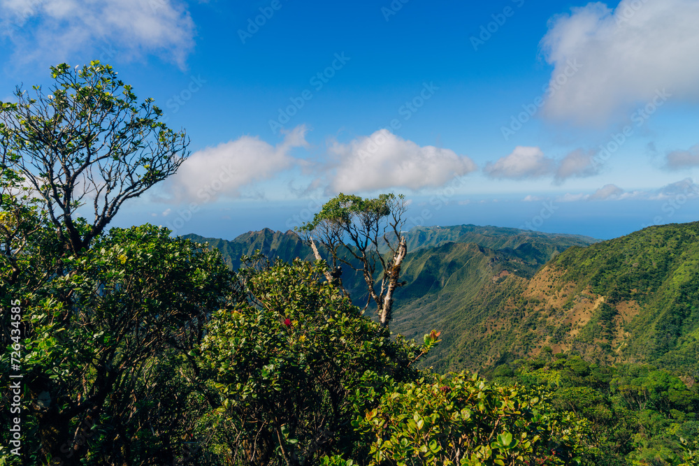 view from mount kalaa on a beautiful day on oahu in hawaii