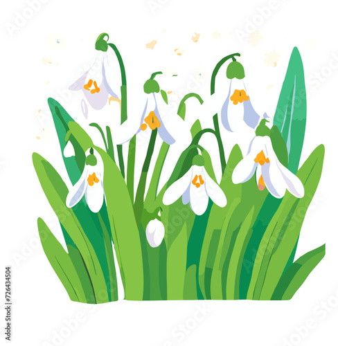 spring flowers in the grass