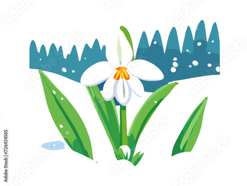 spring snowdrop flowers