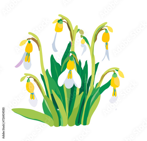 bouquet of snowdrops
