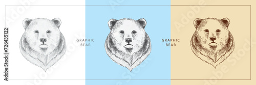 Three sketch drawings of a bear's head. Pencil drawing on paper and contour drawing in vintage style. Animals and wildlife. Hand-drawn.