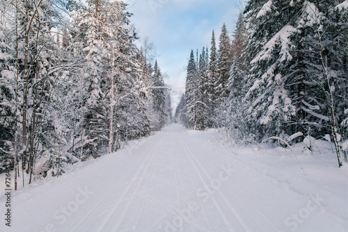 Narrow snowy forest road on a cloudy winter day.