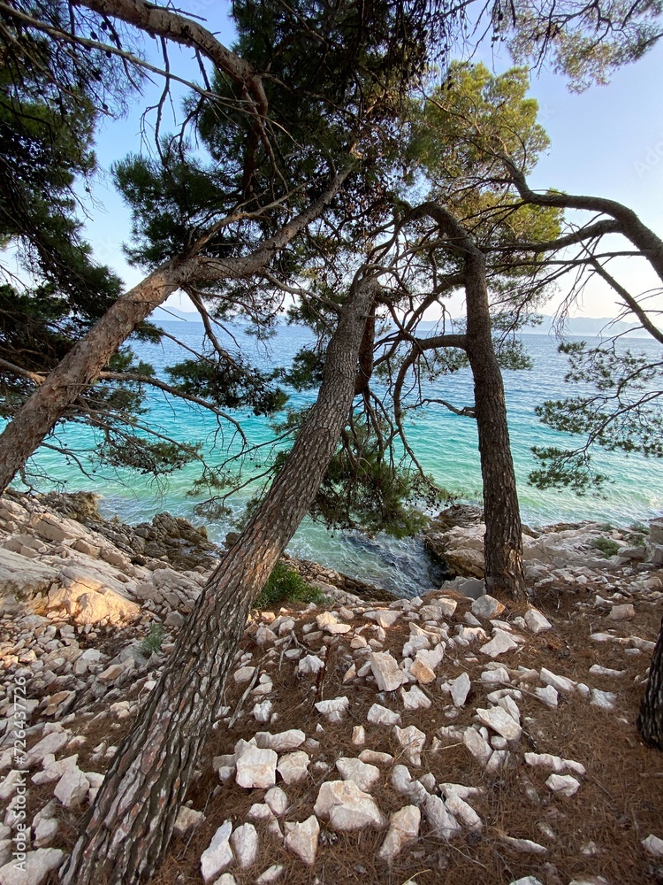 rocky shore, blue maybe blue sky in Croatia rocky shore, blue maybe blue sky in Croatia