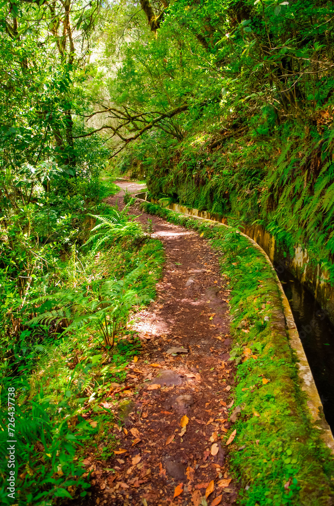 Levada irrigation canal. Hiking in Madeira. Narrow path next to the levada. View from Levada do Norte on the portuguese island of Madeira. Spring in Madeira. Levada irrigation canal. Hiking in Madeira. Narrow path next to the levada. View from Levada do Norte on the portuguese island of Madeira. Spring in Madeira.