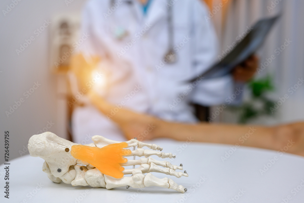 foot bone focus picture An orthopedic surgeon or therapist is showing a