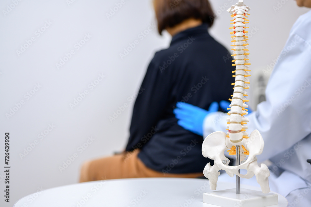 Obraz premium Spinal Focus Picture An orthopedic surgeon or therapist is showing a spinal model and explaining to a female patient her spinal problems. Health care concept and aging and back pain