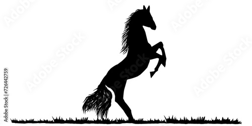 silhouette of a horse standing on the grass