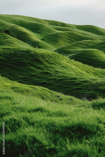 A lone sheep standing in the middle of a lush green field. Perfect for nature or farm-related projects