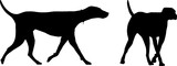 Silhouette dog vector illustration design