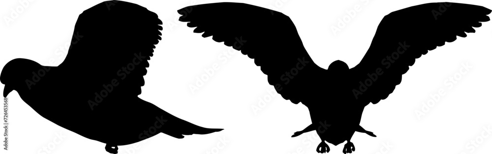 Black Silhouette  bird vector illustration