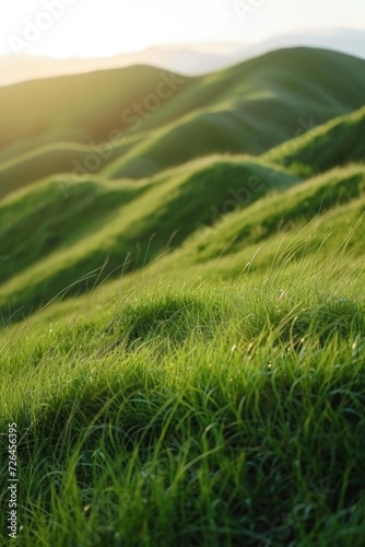 A scenic view of a field of grass with majestic mountains in the background. Suitable for nature and landscape themes